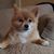 Mary Glotfelty's profile image