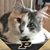 Jeannie Zizik Haff's profile image