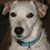 Mary F. Schneberger's profile image
