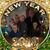 Rob Hensen's profile image