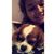 Alissa Rose Auer's profile image