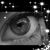 Tania Rose Abay's profile image