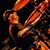 Mike Grant's profile image