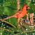 Eileen Stindt Moorman's profile image