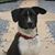 Sadie Sidwell's profile image
