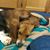 Maureen Gordon Guthrie's profile image