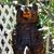 Eugene Heathman's profile image