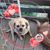 Lory Rena Fielding's profile image