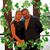 Bridget Jurgens Galbreath's profile image