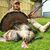 Cody Flynn's profile image