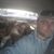 Pete J Gallina's profile image