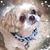 Linda L Hersh's profile image