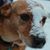 Karen Melvin Harpster's profile image