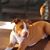 Judy Kuncher-Hill's profile image