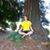 Diane Tavares's profile image