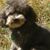 Debbie Butler's profile image