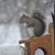 Sandy Makler's profile image