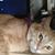 Amy Martin Luu's profile image