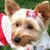 Marni Blonski's profile image