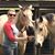 Denise Schluterman Clayton's profile image
