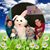 Erin Joan Sullivan's profile image