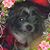 Corrie Smith's profile image