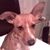 Michael Wihl's profile image