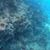 Petra Bonda's profile image