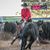 Joanne Smith's profile image