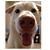 Julian Turrietta's profile image