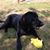 Mary C. Mitchell's profile image