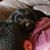 Christopher Lumley's profile image