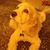Leigh Harville's profile image