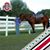Patti Sisson's profile image