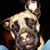 Michelle Luque's profile image