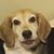 Becky Kemp's profile image