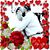 Kristine Smith Cybulski's profile image