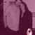 Carri West-mccartney's profile image