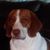 Brent Carroll's profile image