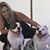 Jacqueline Amendola's profile image