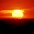 Alan Sala Jr's profile image