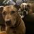 Heather Burdick's profile image