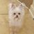 Vickie Propst Simpson's profile image