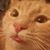 Franklin Belaski's profile image