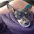 Christine Robinson Myers's profile image