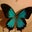 Charity Cunningham's profile image