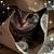 Katharine Salinas's profile image