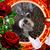 Mary White's profile image