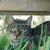 Tabby Patterson's profile image