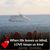 Lynn Rezin Graziano's profile image